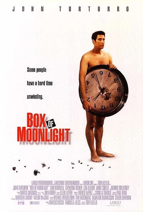 Box of Moonlight film posteri