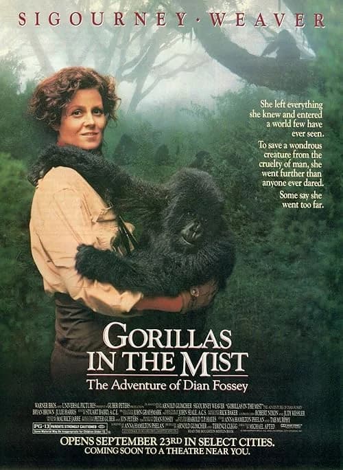 Gorillas in the Mist